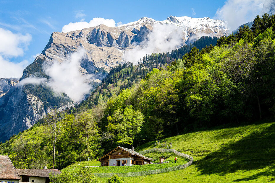 Lindenpark | Lage- Galerie